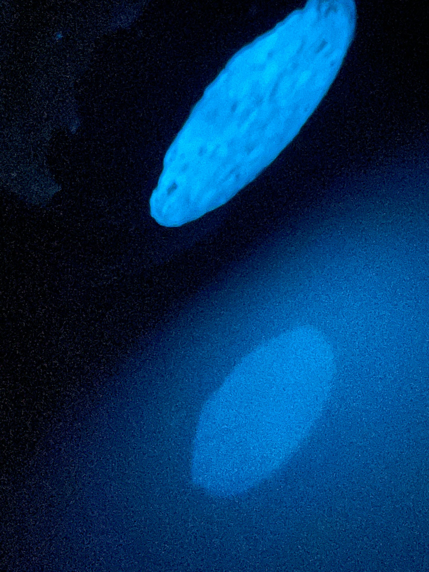 Handmade Shadow Dragon Egg Noctyra with Lighted Base