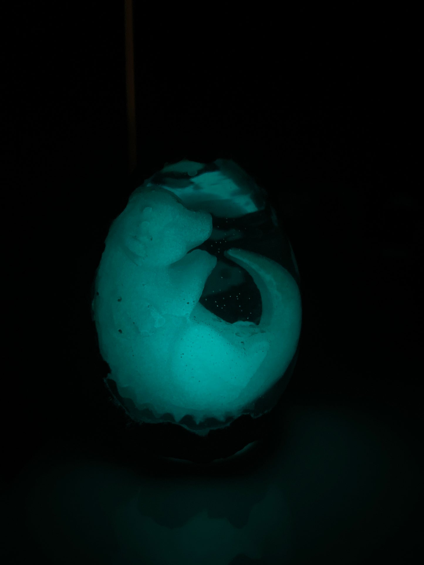 Legendary Twin Lunaras Dragon Egg with Lighted Base