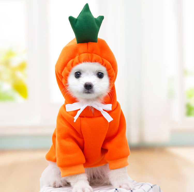 Cute and coazy Winter and Spring Pet ehhhhSweater for all Sizes! PWNinja