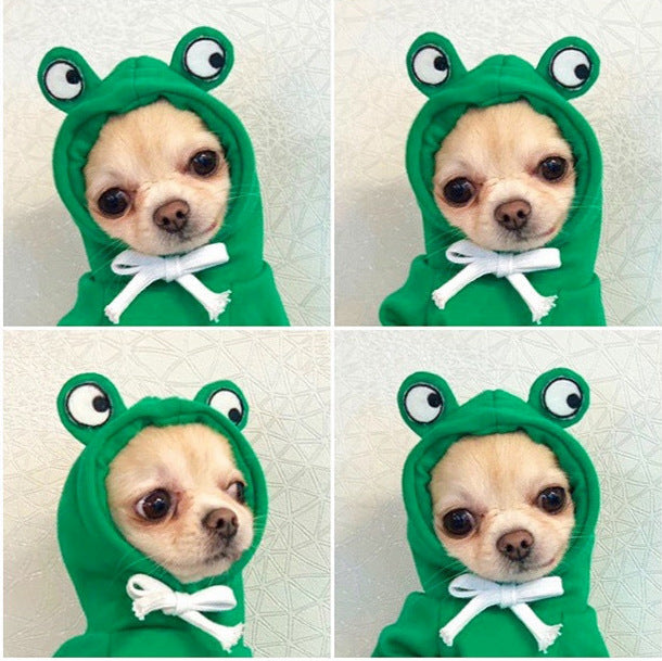 Cute and coazy Winter and Spring Pet ehhhhSweater for all Sizes! PWNinja