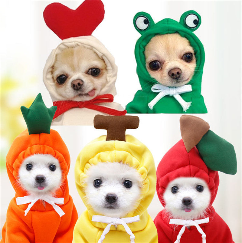 Cute and coazy Winter and Spring Pet ehhhhSweater for all Sizes! PWNinja