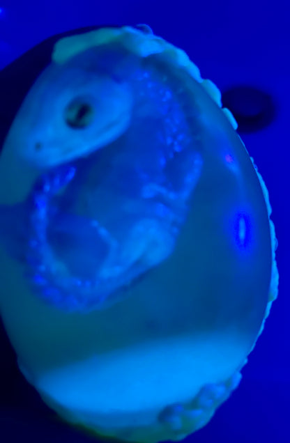Handmade Resin Dragon Egg – One of a Kind Aurellix