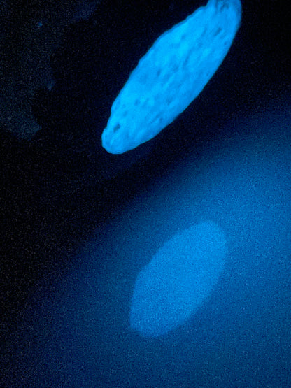 Handmade Shadow Dragon Egg Noctyra with Lighted Base