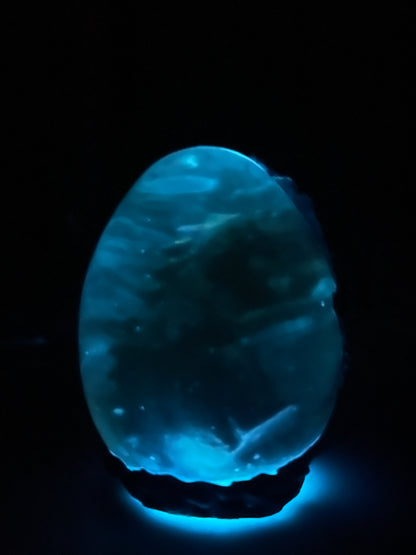 Handmade Shadow Dragon Egg Noctyra with Lighted Base