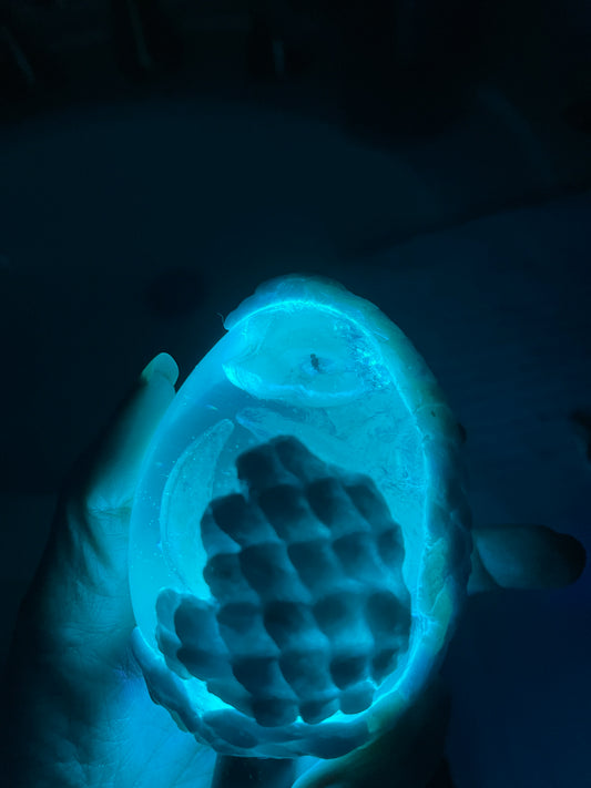 Legendary Galexis Dragon Egg with Lighted Base