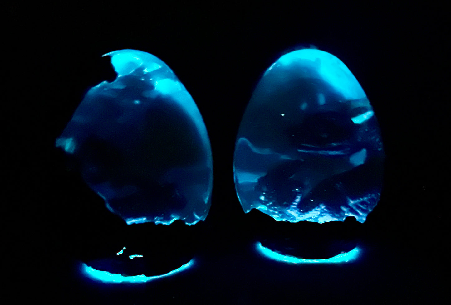 Handmade Legendary Fire and Ice Dragon Egg "Nyxir" with Lighted Base