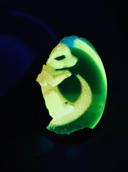 Lyrris Legendary Dragon Egg