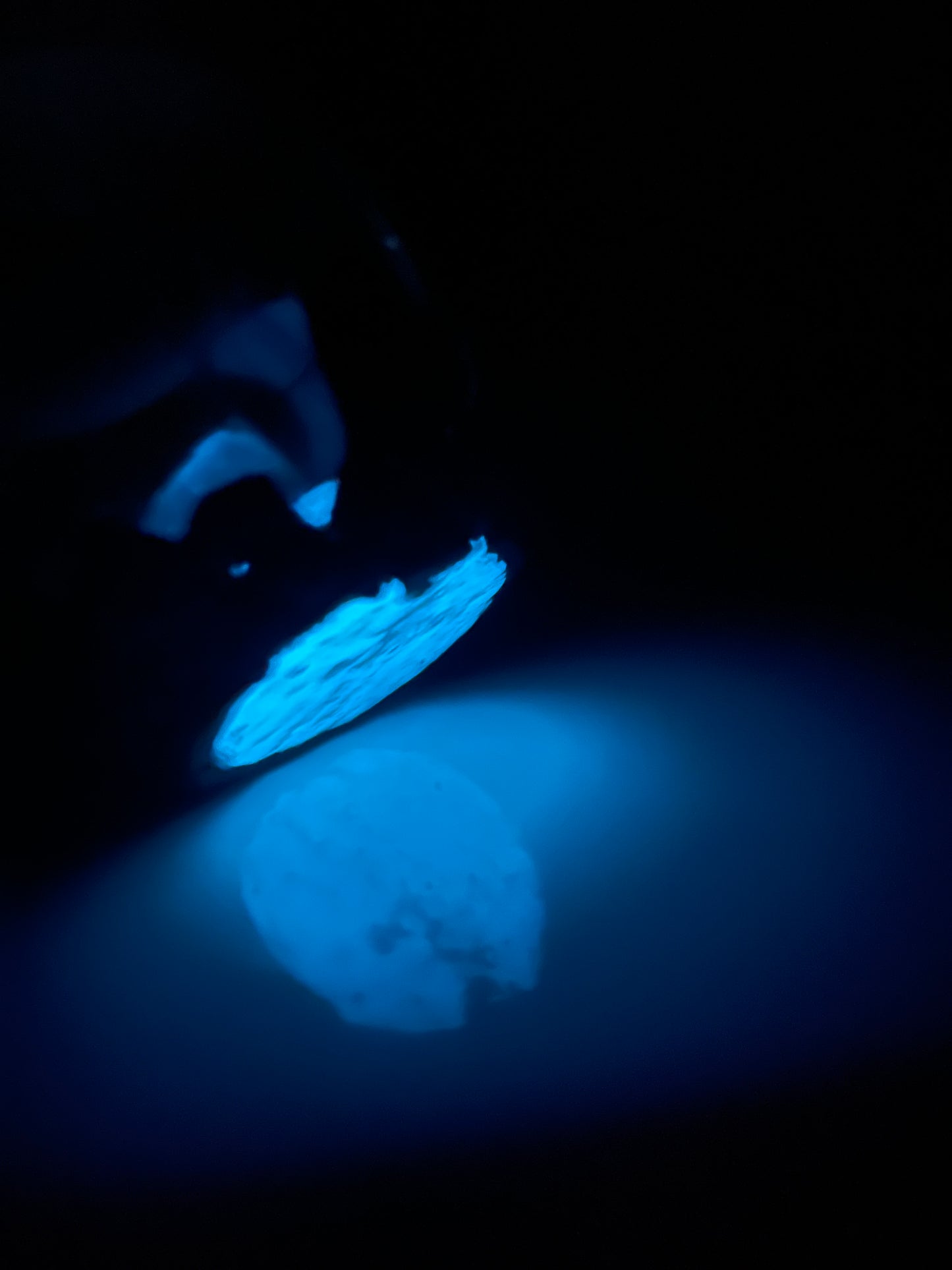 Handmade Shadow Dragon Venomir Egg with Lighted Base