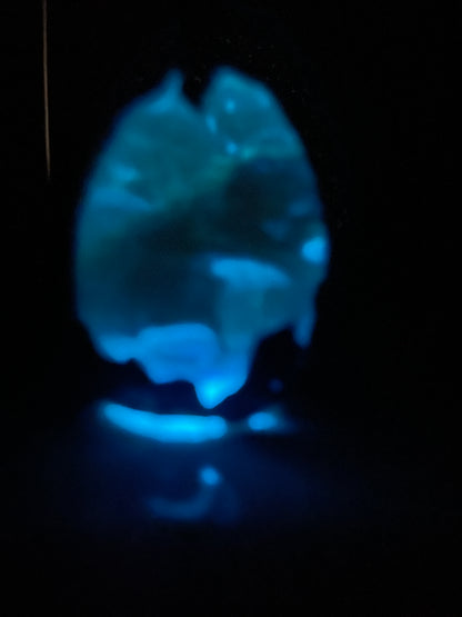Handmade Shadow Dragon Venomir Egg with Lighted Base
