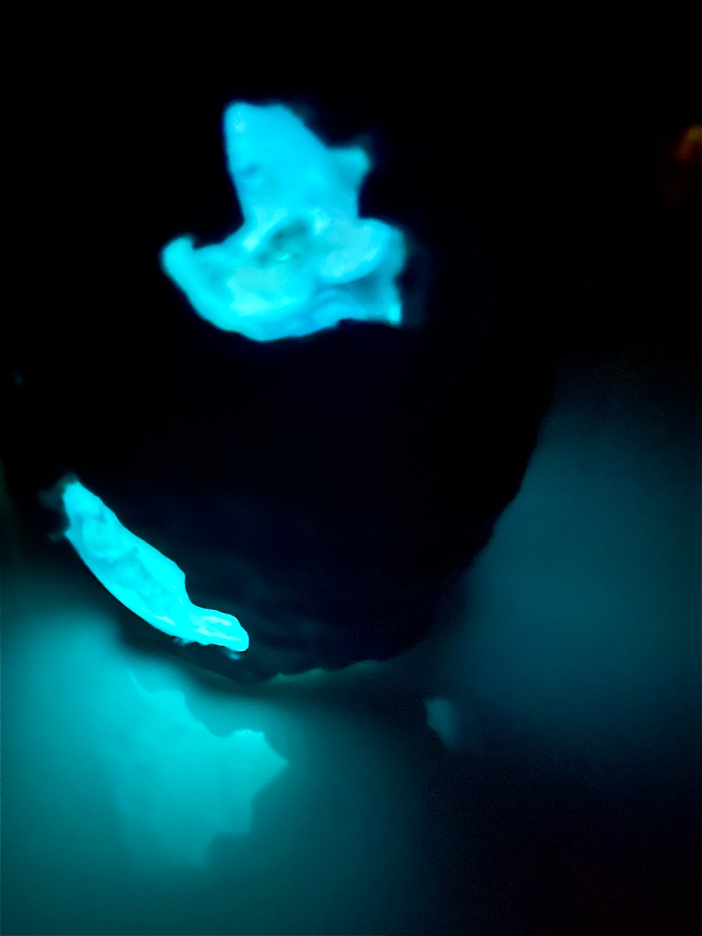 Legendary Twin Lumira Dragon Egg with Lighted Base