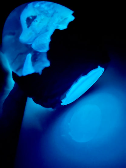 Legendary Twin Lumira Dragon Egg with Lighted Base